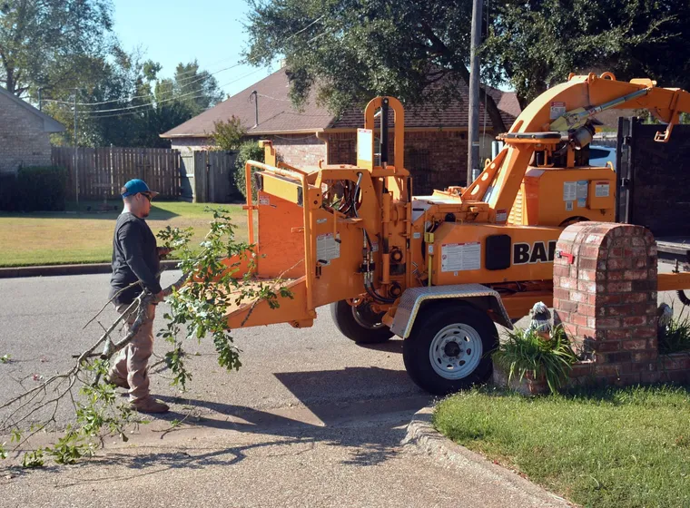 Chipping brush down on site