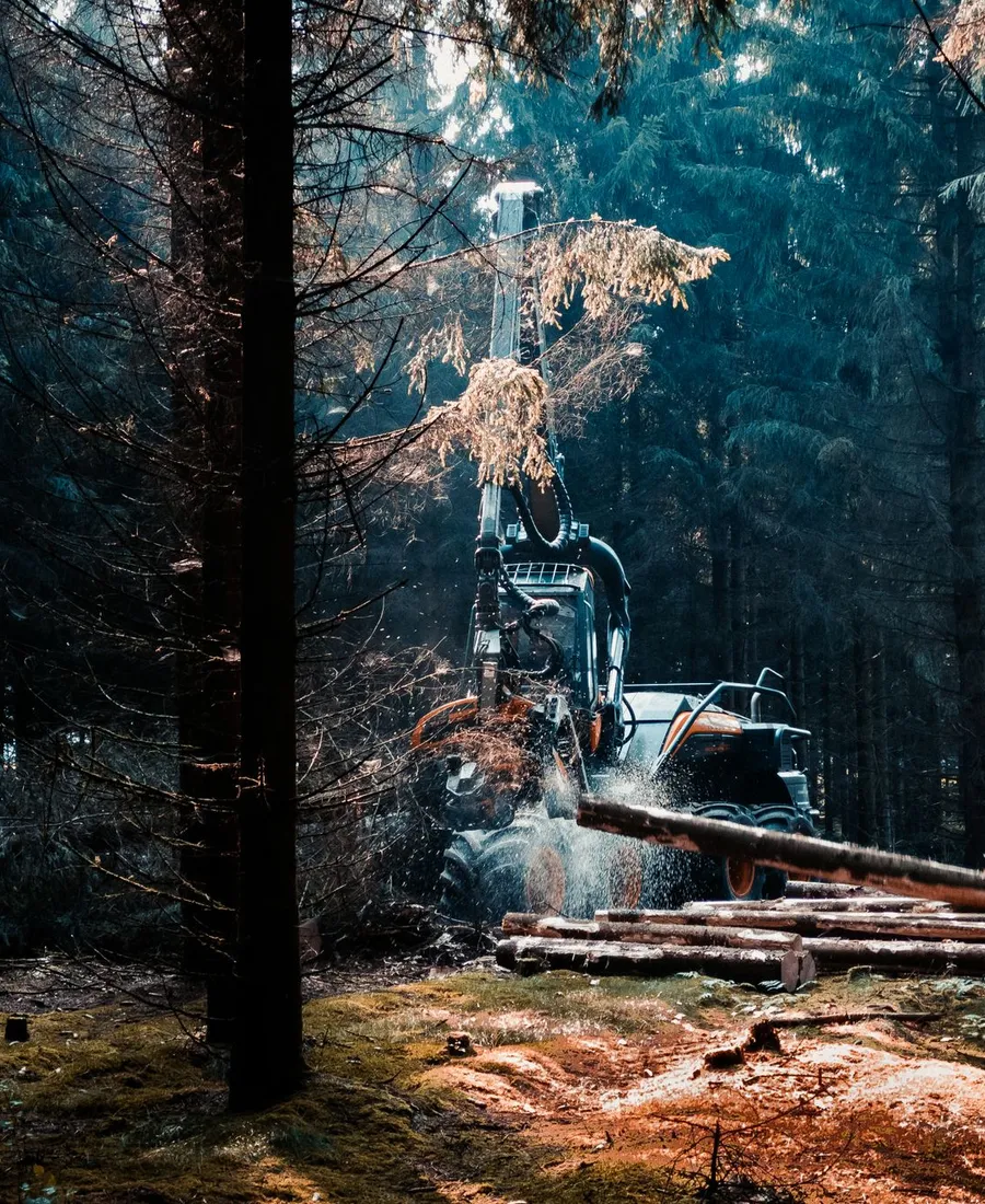 Land Clearing
