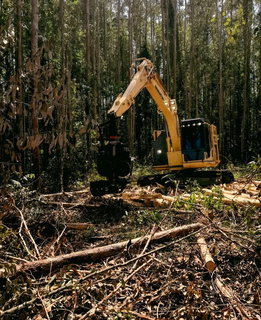 Defensible Space and Fire Clearance
