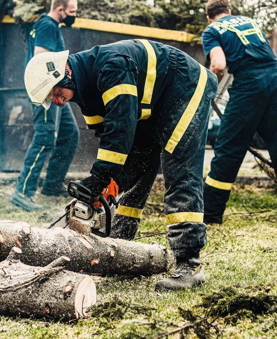 Tree Removal
