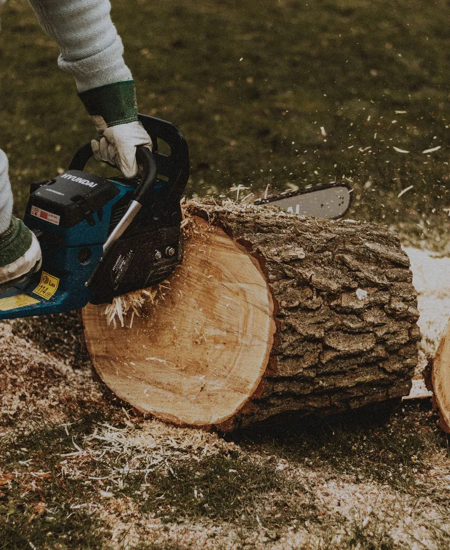 Stump Grinding