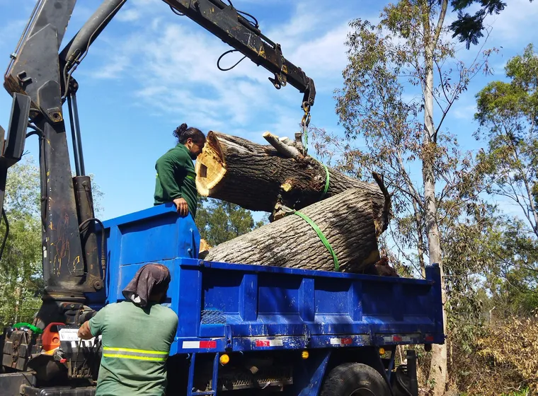 Timber loaded out at the end of the job